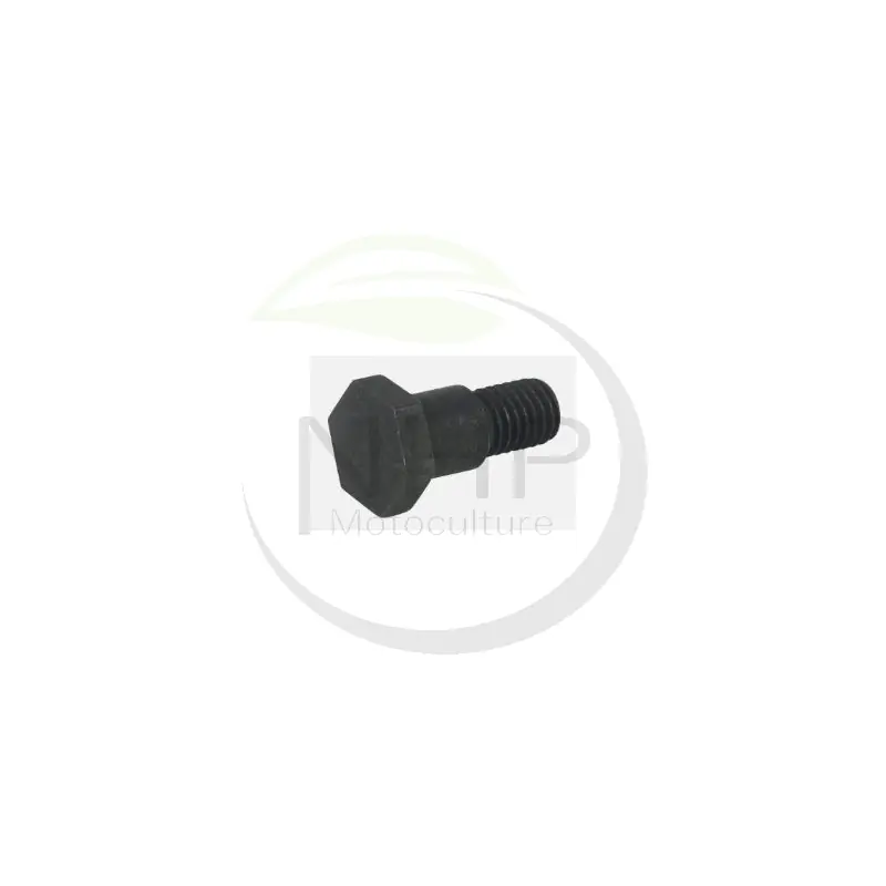 Dernier Modèle BOULON MASSELOTTE EMBRAYAGE TANAKA 3570420120 – 357-04201-20 – HITACHI 6689632 –