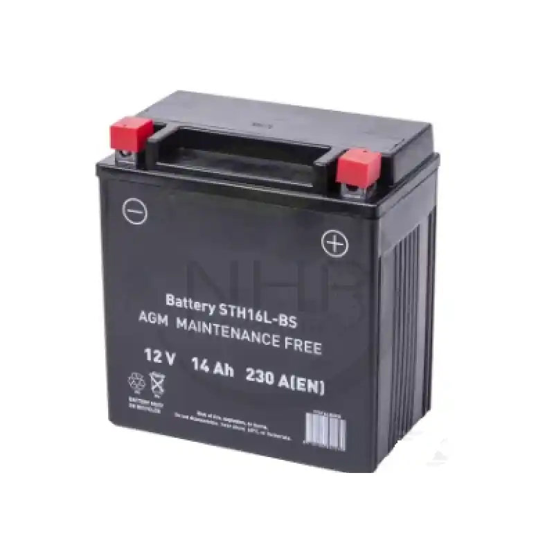 Vente Directe BATTERIE TONDEUSE 12V 14AH + A DROITE ETANCHE AGM –