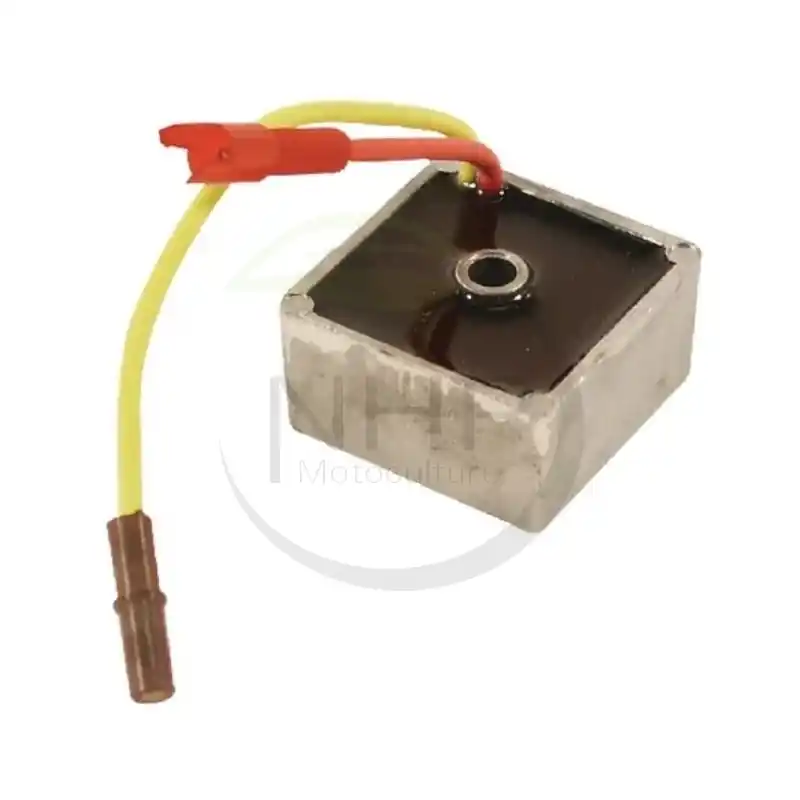 Populaire REGULATEUR DE TENSION ORIGINE BRIGGS ET STRATTON 794360 – 691188 – 491546 – 795067 –