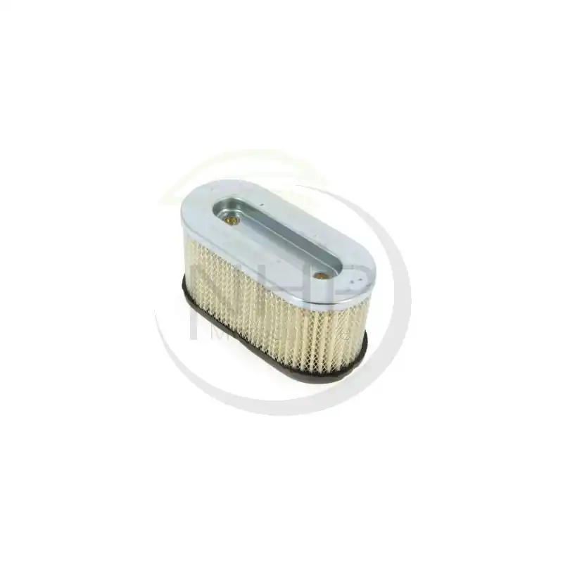 Produit De Marque Filtre à air Briggs et Stratton 491950 –