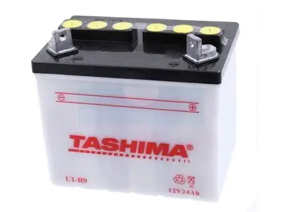 Acheter Direct Batterie tracteur tondeuse 12V 24Ah (U1R9)