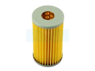 Filtre à carburant Diesel pour moteur Kubota (1552143160) Quantité Limitée