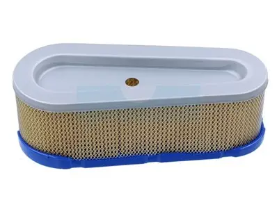 Filtre à air pour moteur Briggs & Stratton (691667) Certifié