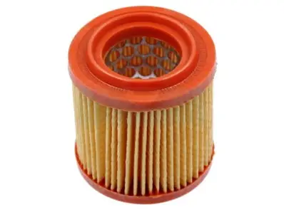 Produit De Marque Filtre à air pour tondeuse débroussailleuse / tondeuse As Motor (E04221)