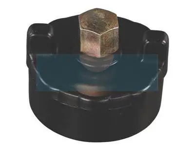 Acheter Direct Bouchon d&rsquo;essence pour tondeuse As Motor (E03691)