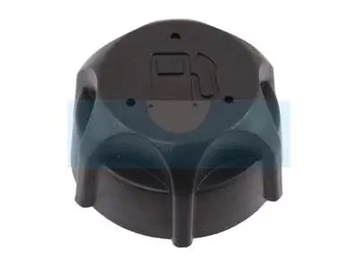 Achetez Aujourd’hui Bouchon d&rsquo;essence pour moteur Briggs & Stratton (497929)