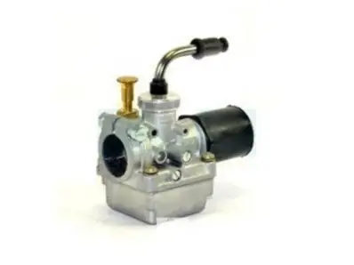 Acheter En Ligne Carburateur pour Agria (155029)