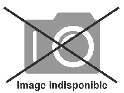 Acheter En Ligne Bobine d&rsquo;allumage pour tronçonneuse Stiga (1188043700)