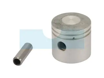 Acheter Direct Piston pour moteur Kawasaki (130016002)