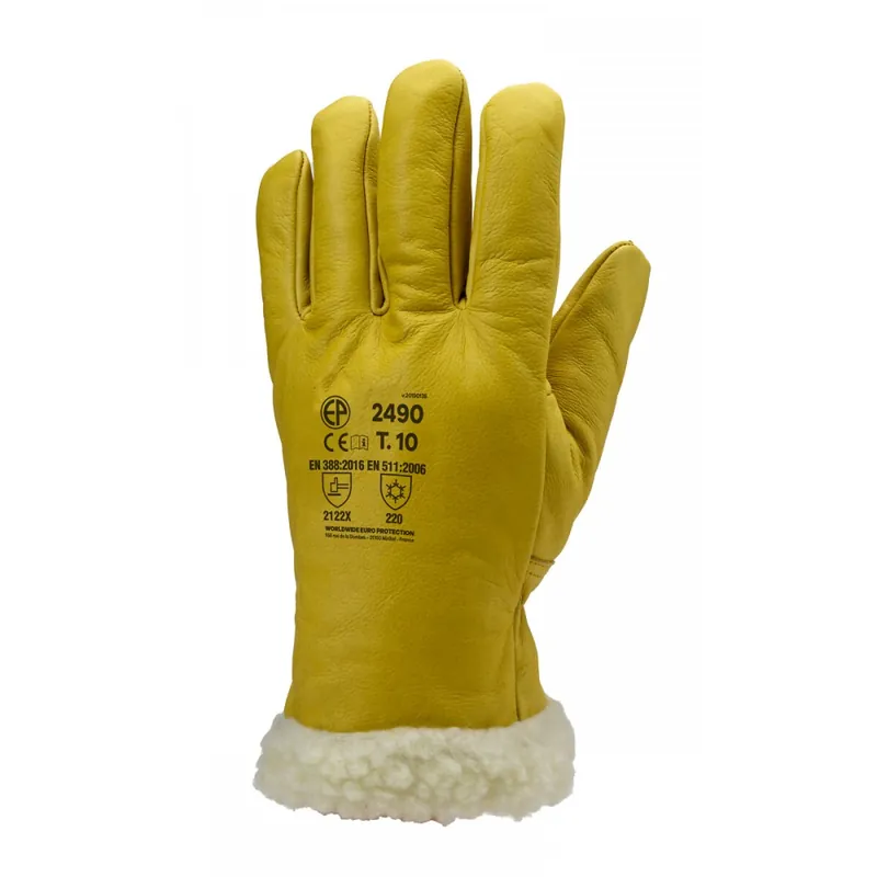 Commander Vite Gants Eurowinter Islande MO2486 – contre le froid