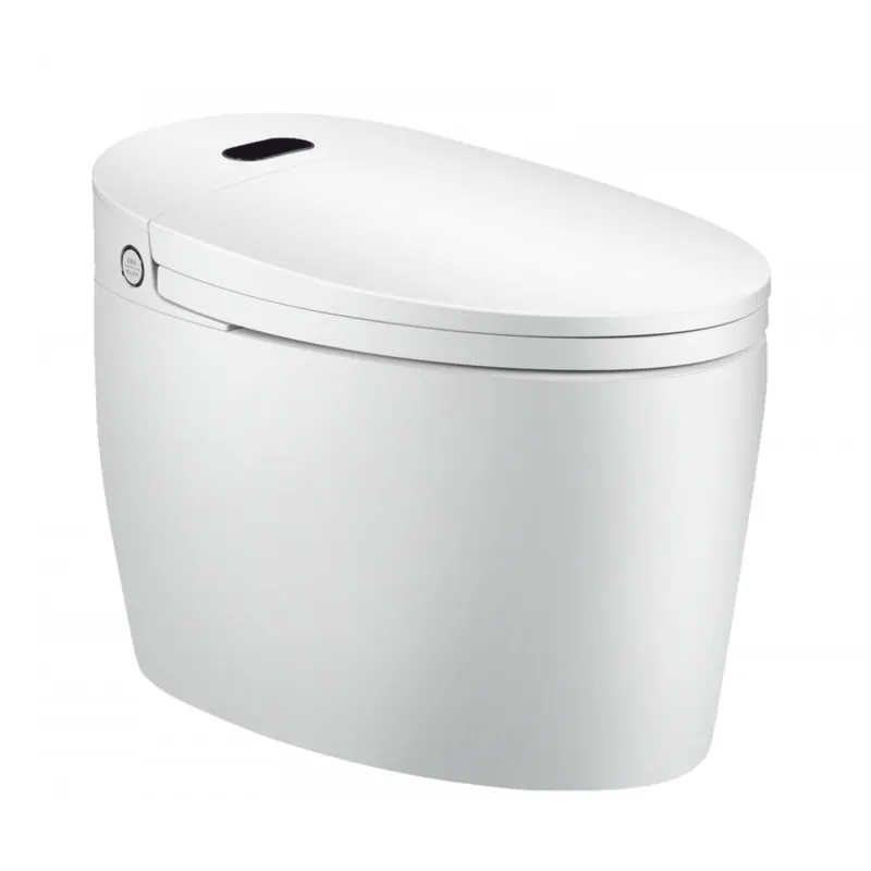 WC Monobloc Luxe DIAMOND V2 Remise