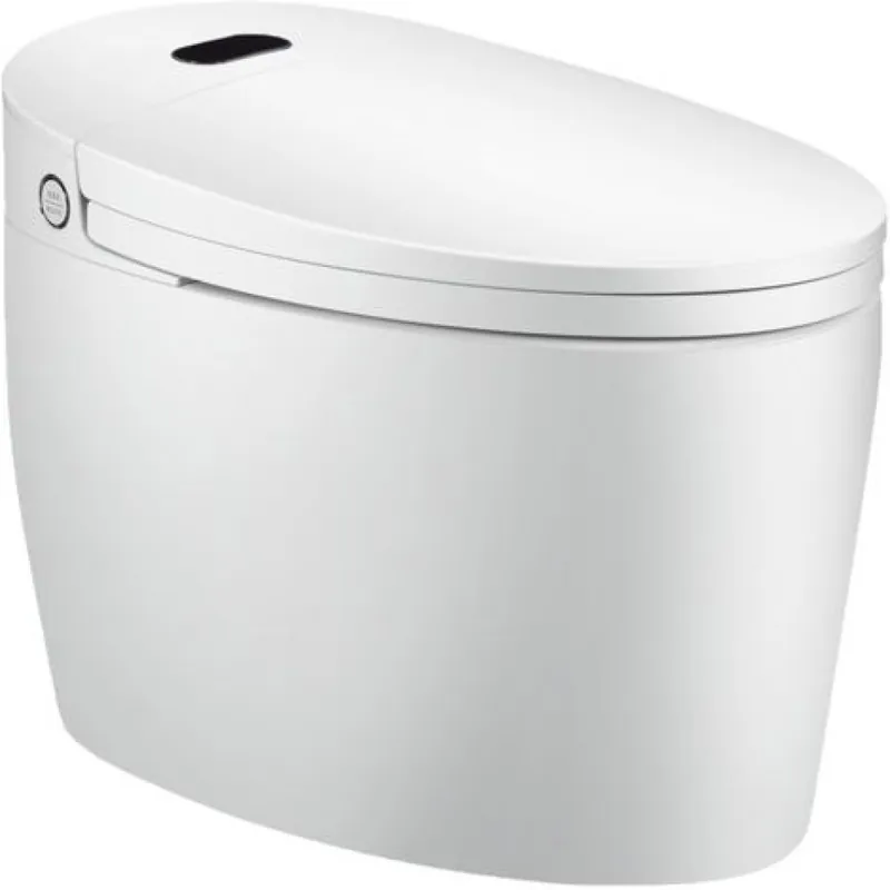 WC monobloc Luxe DIAMOND PLUS V2 Achat Immédiat