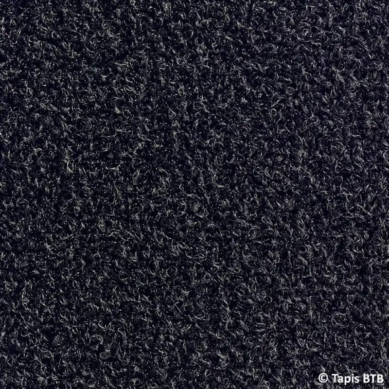 Achetez Aujourd’hui Tapis d'entrée anti-poussière Capture